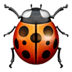 lady_beetle